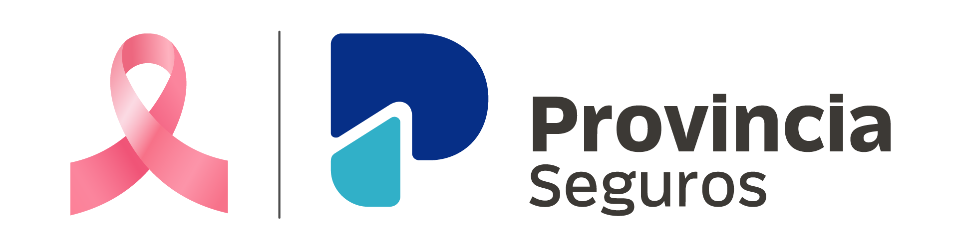 Provincia Seguros